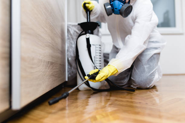 Best Pest Removal Services  in Pepper Pike, OH
