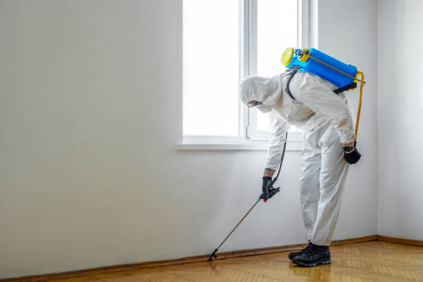 Reliable Pepper Pike, OH Pest Control Solutions